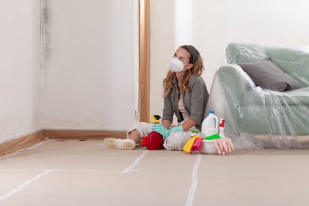 Reliable Mold Removal contractor in Jordan, MN by WQB Mold Removal